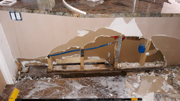 Best Flood damage cleanup  in Ogden, UT
