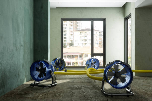 Best Water damage cleanup near me  in Ogden, UT